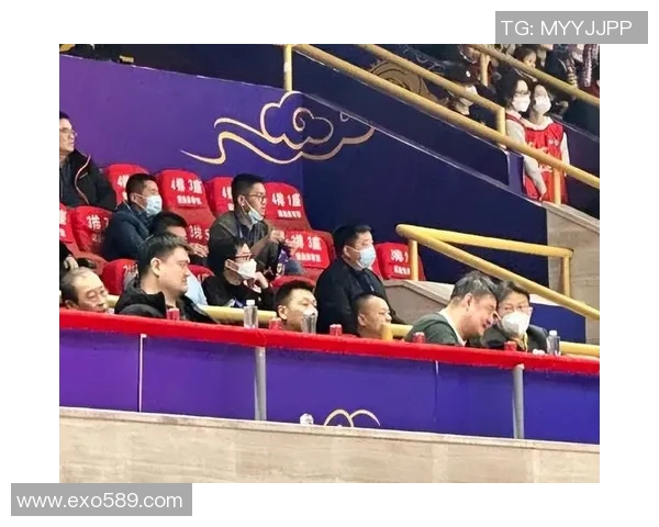 彩神网助力彩票爱好者实现梦想的全新平台体验与服务探索